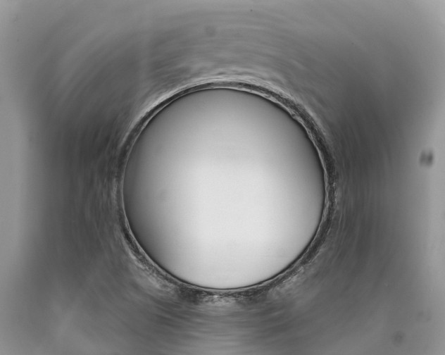 X0000090771505200707201103