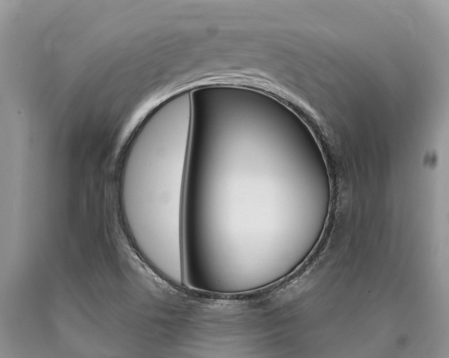 X0000090771506200707201103