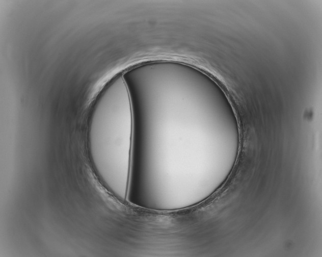 X0000090771507200707201103
