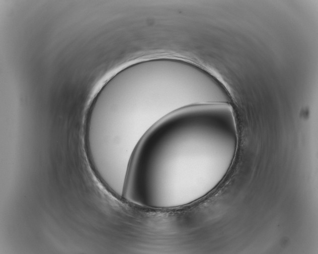 X0000090771508200707201103
