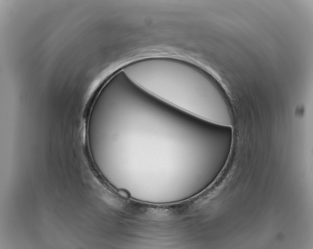 X0000090771509200707201103