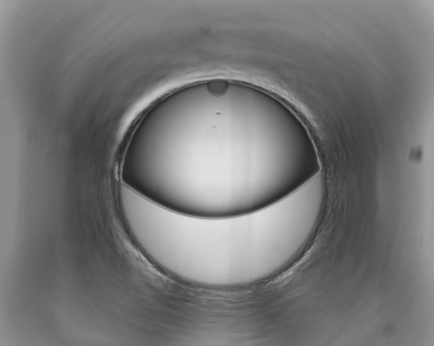 X0000090771510200707201103