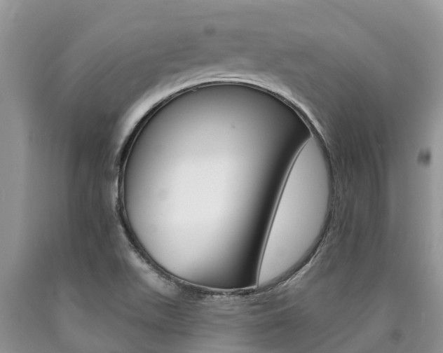 X0000090771511200707201103