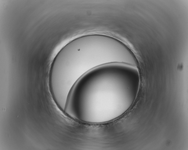 X0000090771512200707201103
