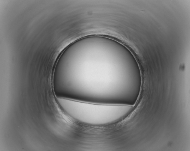 X0000090771513200707201103