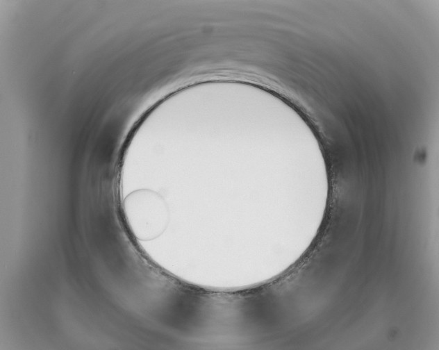 X0000090771514200707201103