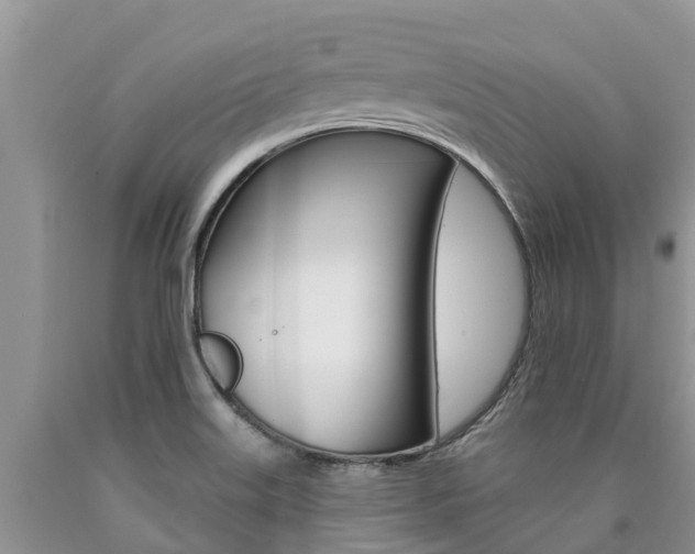 X0000090771515200707201103