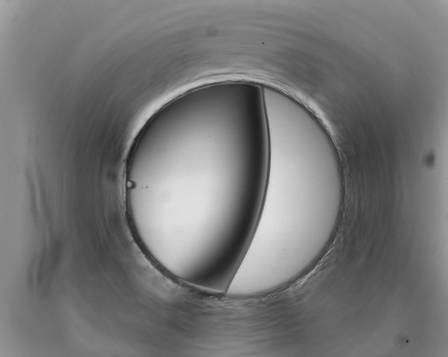 X0000090771516200707201103