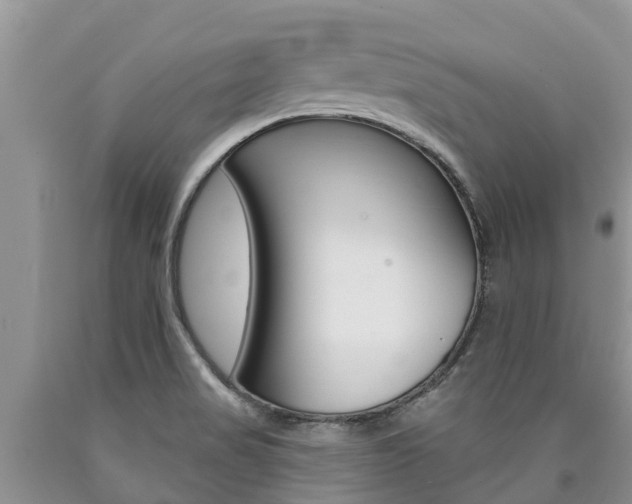 X0000090771517200707201103