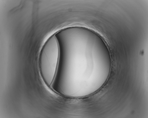 X0000090771519200707201103