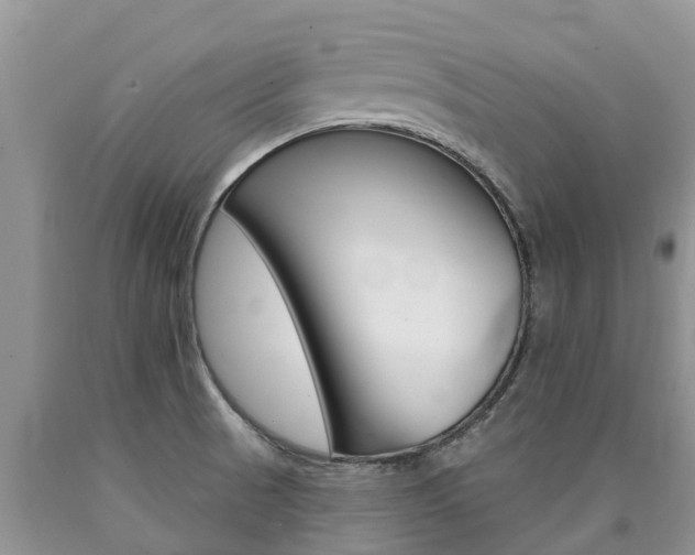 X0000090771521200707201104