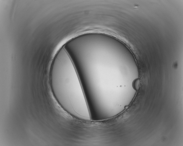 X0000090771522200707201104