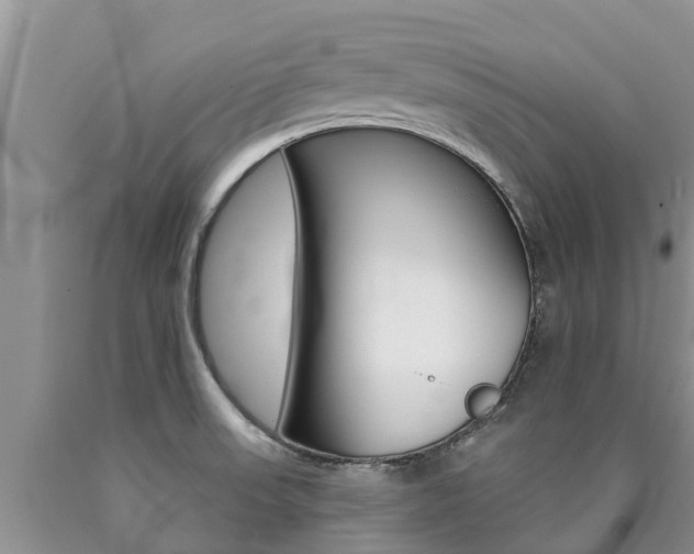 X0000090771523200707201104