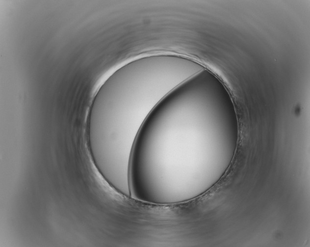 X0000090771524200707201104