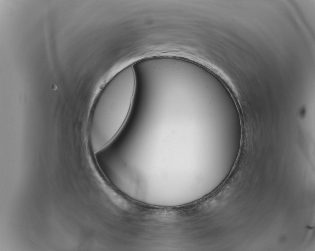 X0000090771525200707201104