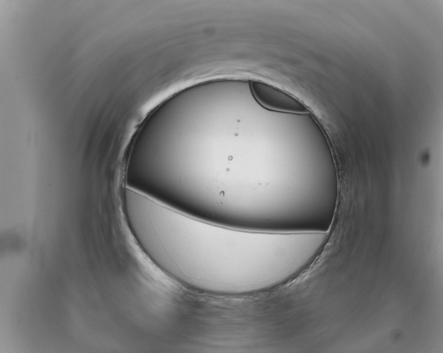 X0000090771526200707201104
