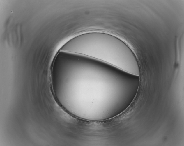 X0000090771527200707201104