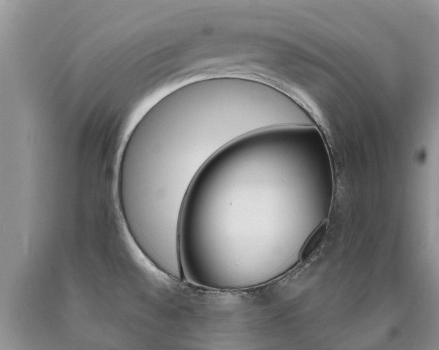 X0000090771528200707201104
