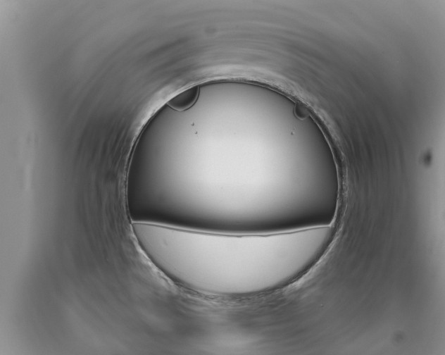 X0000090771529200707201104