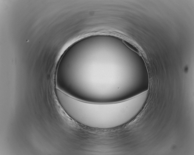 X0000090771530200707201104