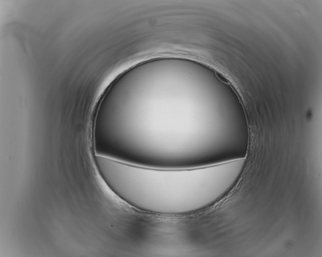 X0000090771531200707201104