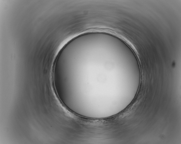 X0000090771533200707201104