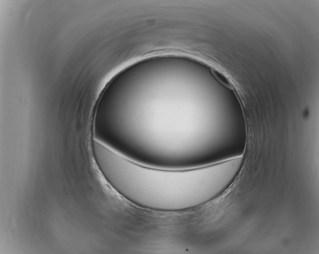 X0000090771534200707201104