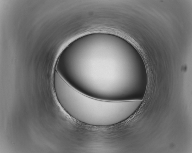 X0000090771536200707201104