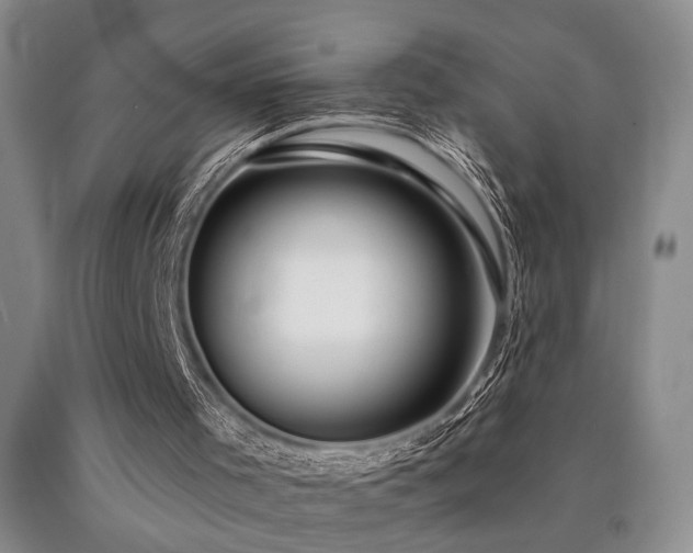 X0000090770001200707201448