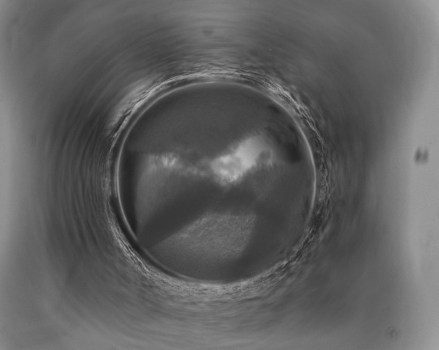 X0000090770002200707201448