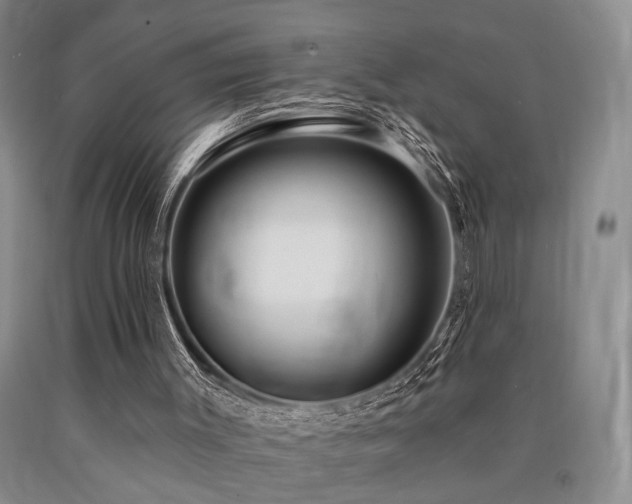 X0000090770003200707201448