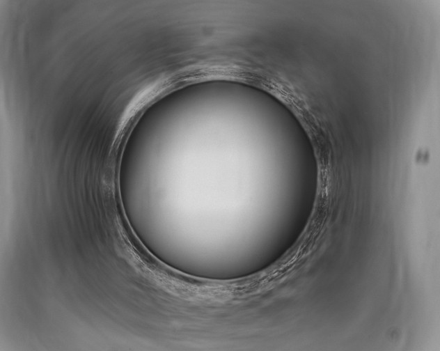 X0000090770004200707201448