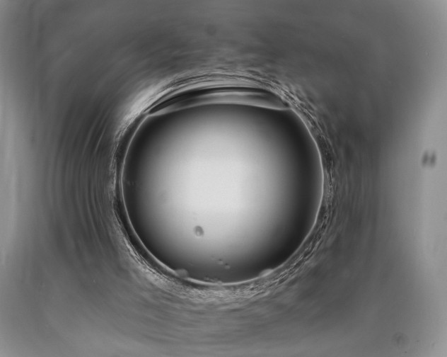 X0000090770005200707201448