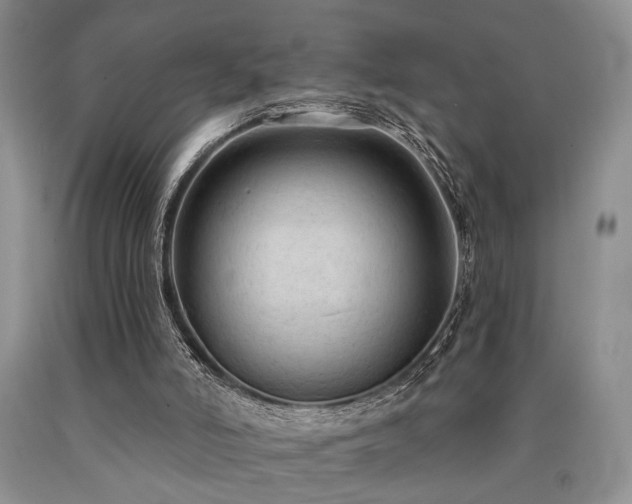 X0000090770006200707201448