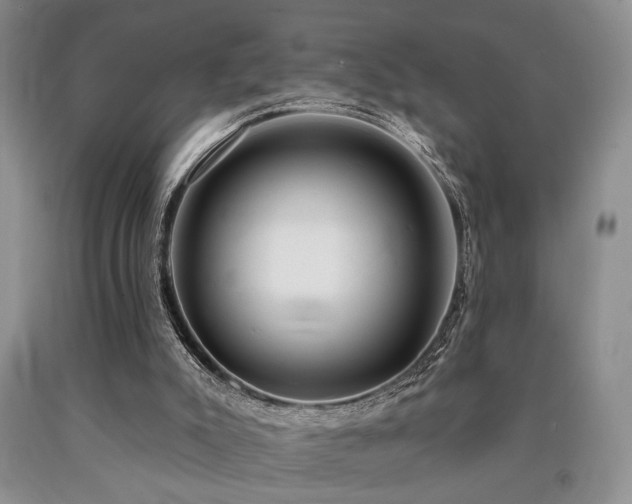 X0000090770007200707201448