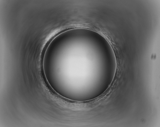 X0000090770008200707201448