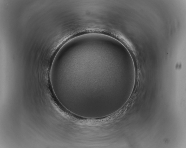 X0000090770009200707201448