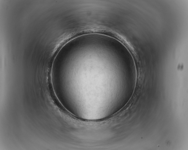X0000090770010200707201448