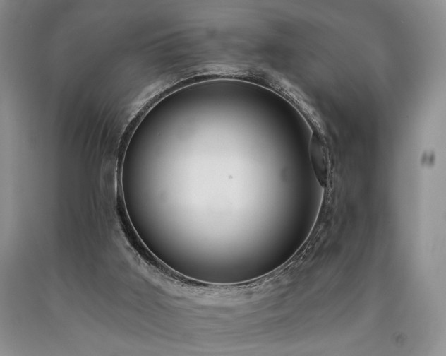 X0000090770011200707201448