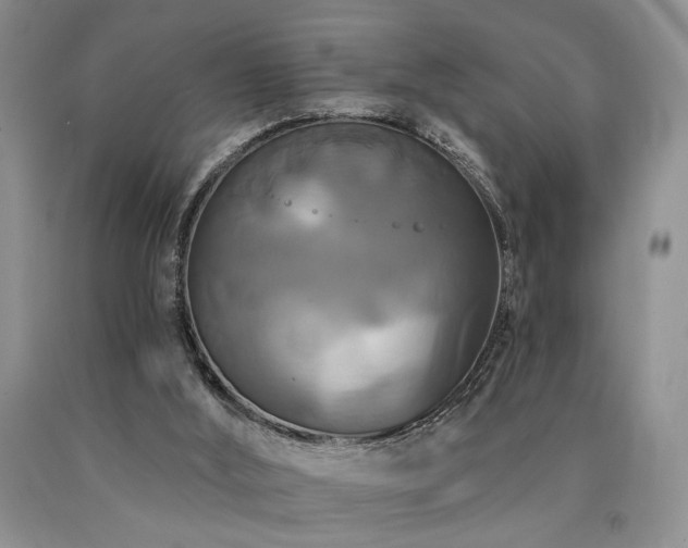 X0000090770012200707201448
