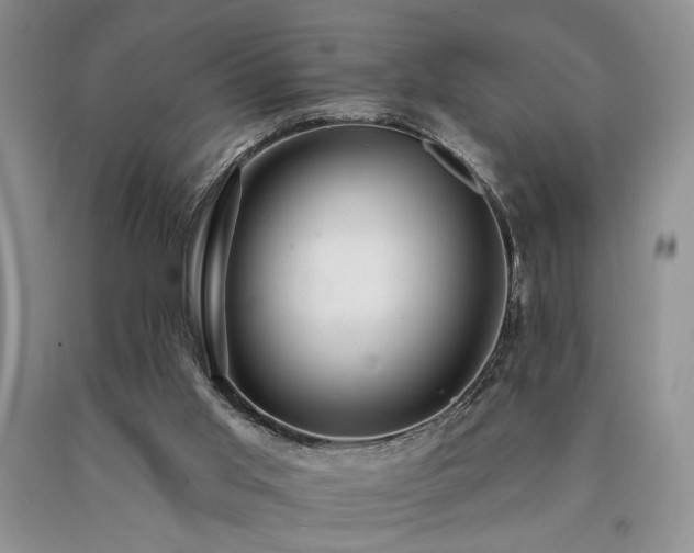 X0000090770013200707201448