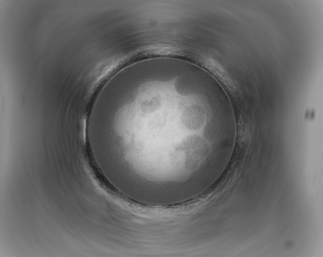 X0000090770014200707201448