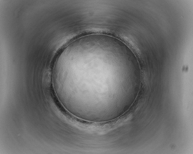 X0000090770016200707201448
