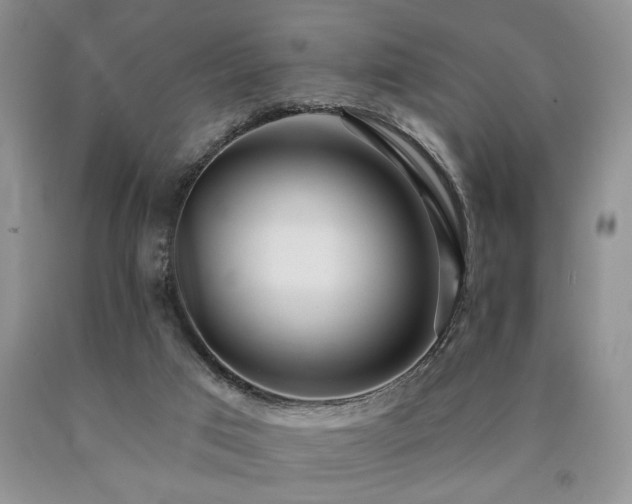 X0000090770017200707201448