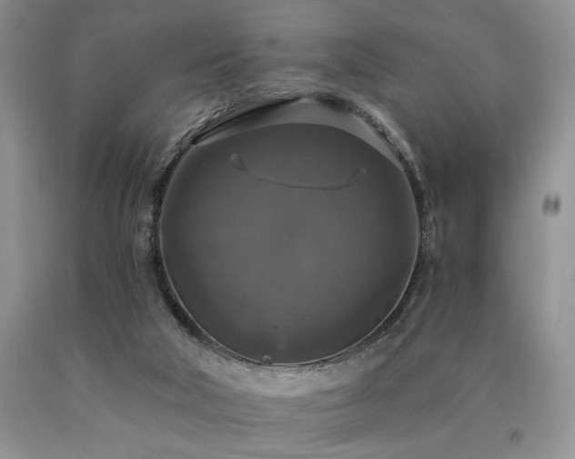 X0000090770018200707201448