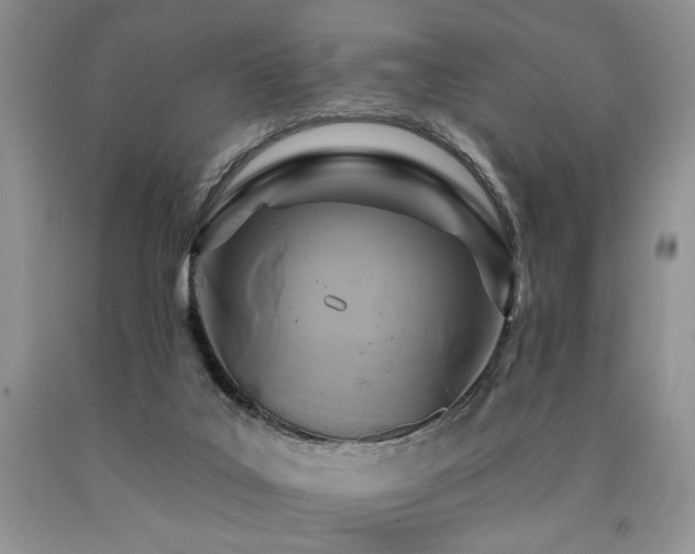X0000090770019200707201448