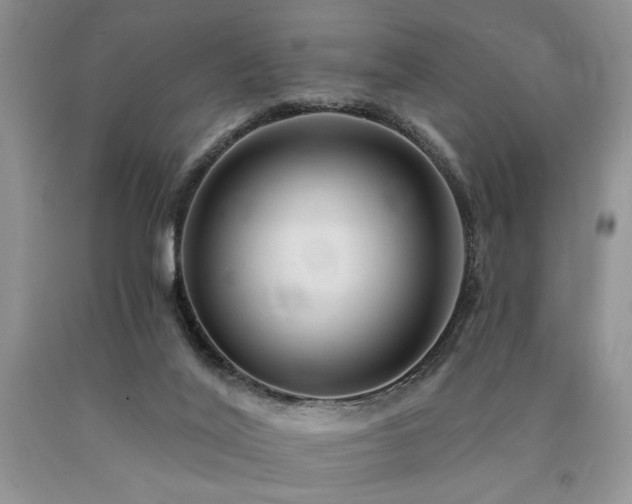 X0000090770020200707201448