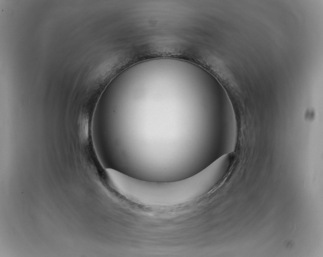X0000090770021200707201448