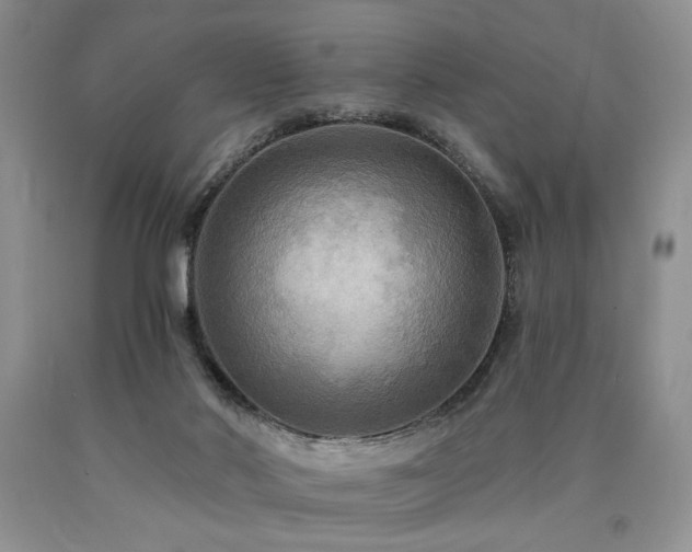 X0000090770022200707201448