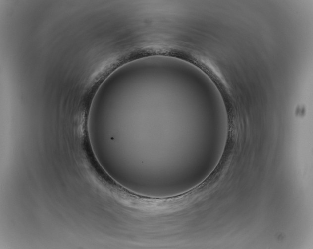 X0000090770023200707201448
